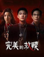 The Perfect Suspect (2025)